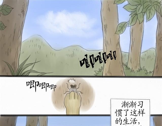夏日长夜#8 野猫（4）16