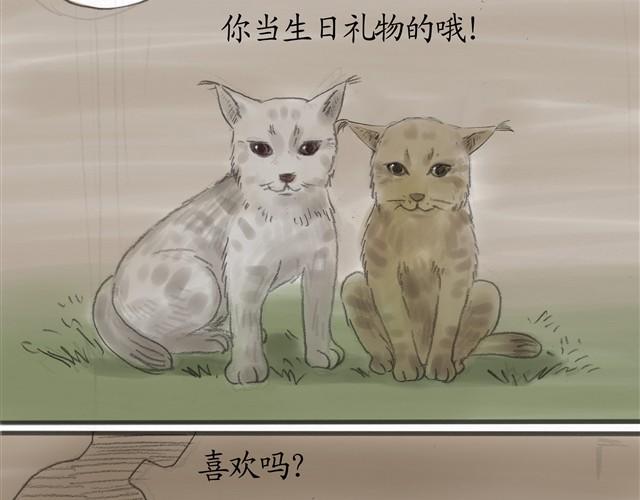 夏日长夜#6 野猫（2）30