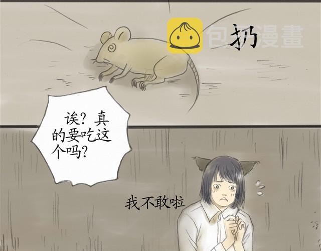 夏日长夜#8 野猫（4）12