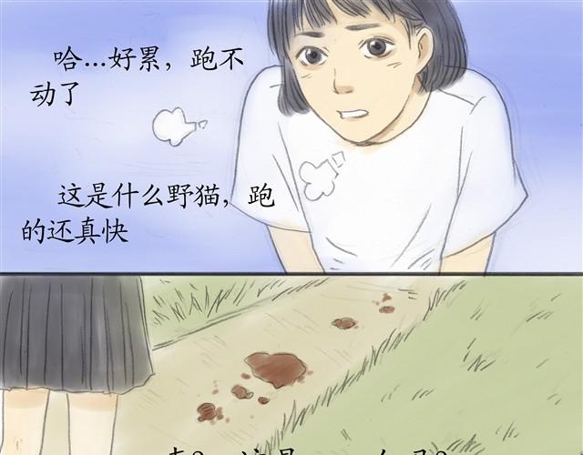 夏日长夜#5 野猫（1）19