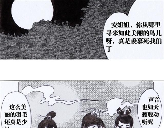 极乐鸟14