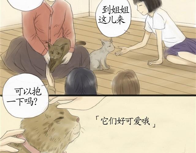 夏日长夜#7 野猫（3）9