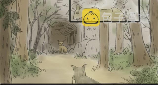 夏日长夜#8 野猫（4）11