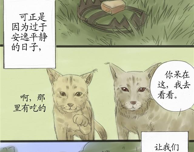 夏日长夜#8 野猫（4）18