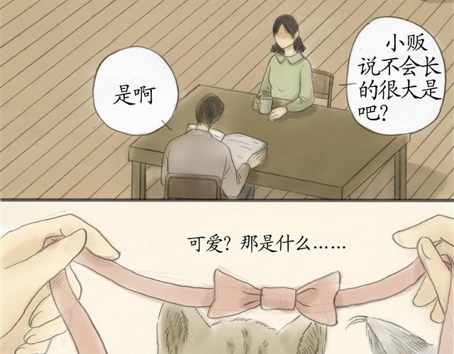 夏日长夜#7 野猫（3）5