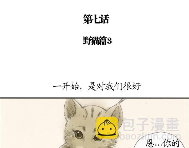 夏日长夜#7 野猫（3）3