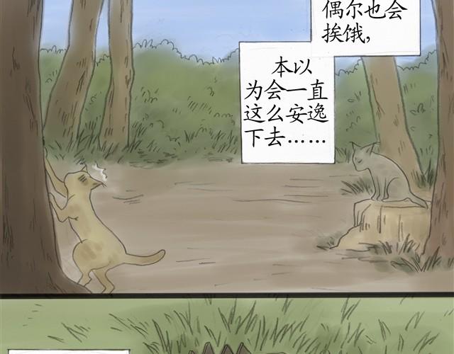 夏日长夜#8 野猫（4）17
