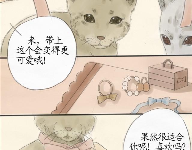 夏日长夜#7 野猫（3）6