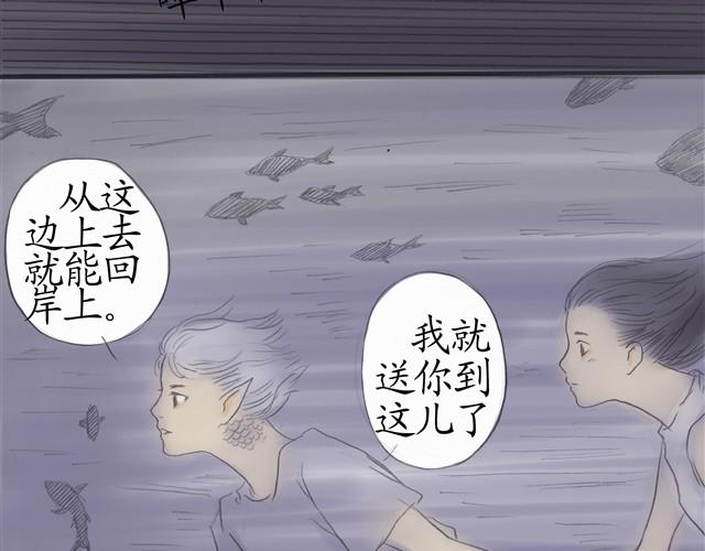 夏日长夜#5 野猫（1）2