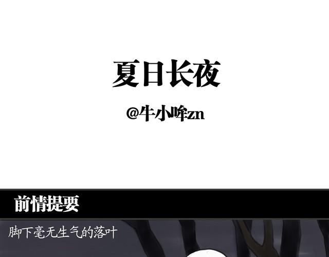 夏日长夜#8 野猫（4）0