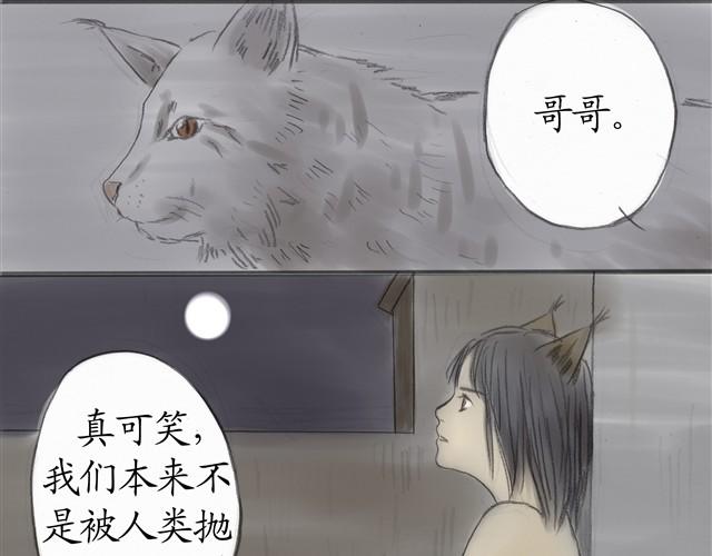 夏日长夜#6 野猫（2）27