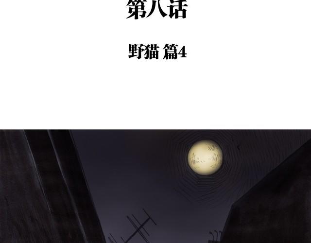 夏日长夜#8 野猫（4）3