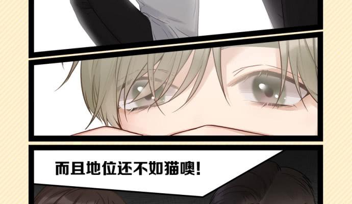 灵超回校日的危机四伏34