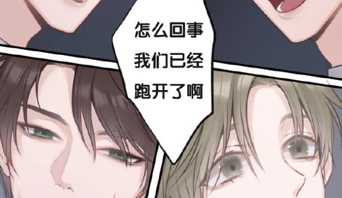 我们出道了44
