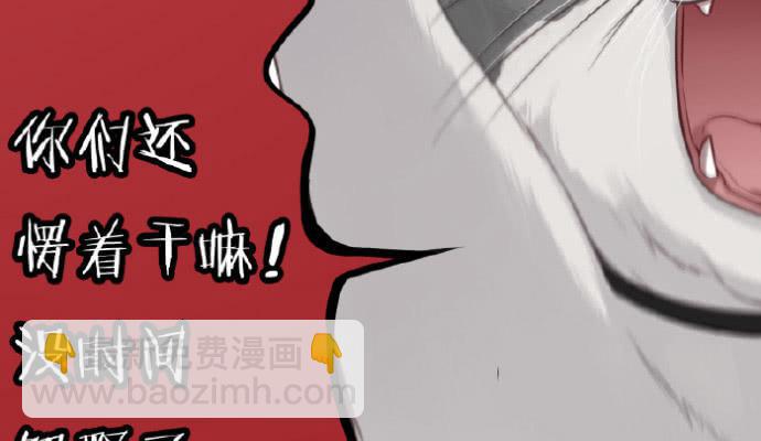 我们出道了41