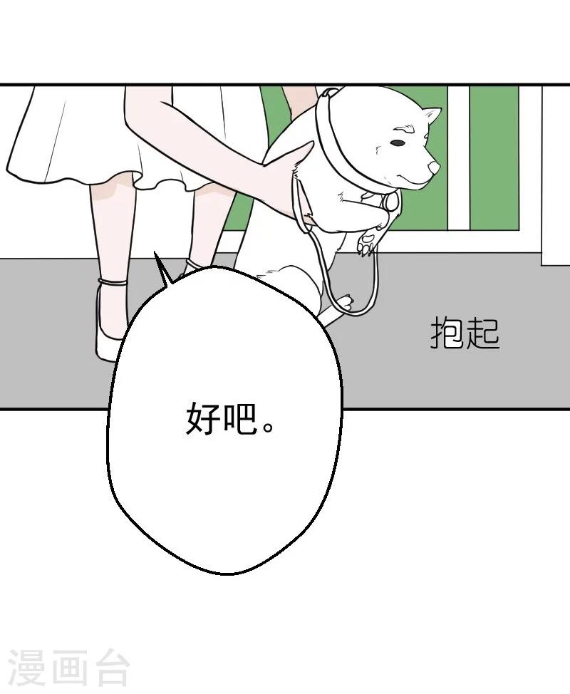 第25话 再把你追回来11