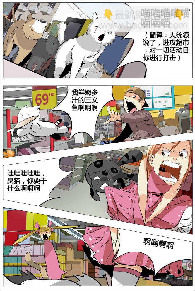 15.出击吧旺财！6