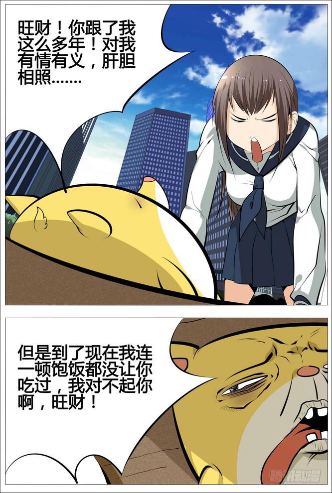 15.出击吧旺财！11