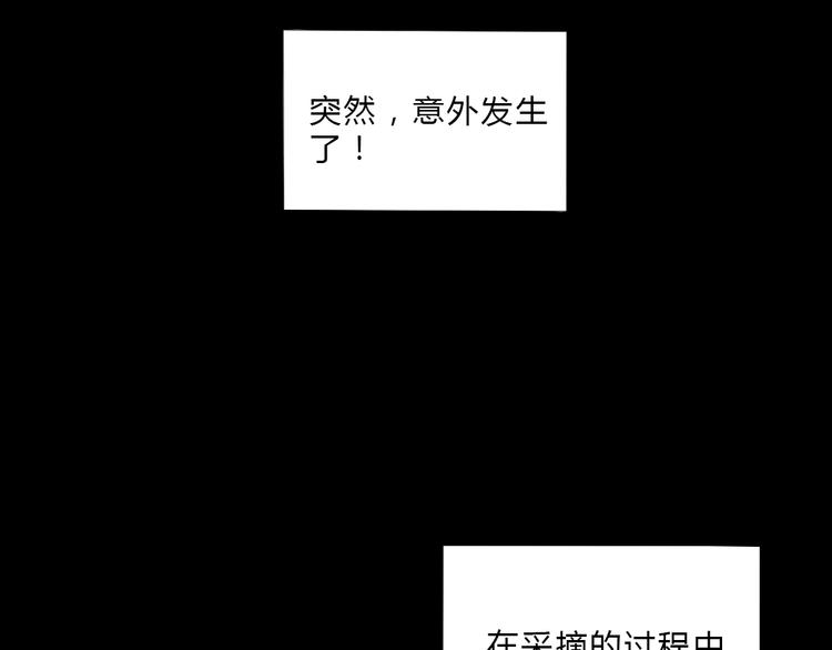 第6话 少年往事7