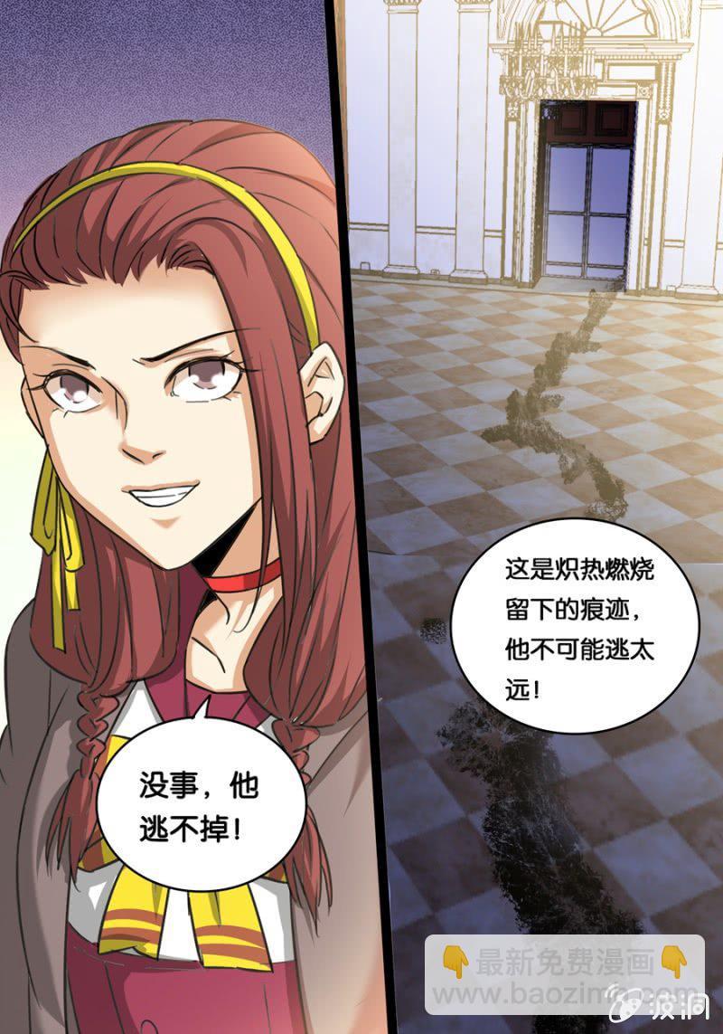 画中骑士11