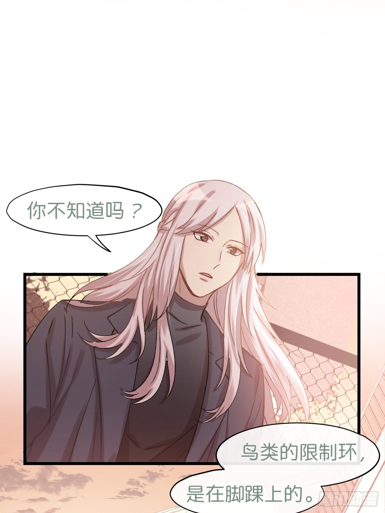 ◆02话◆ 猫薄荷味6