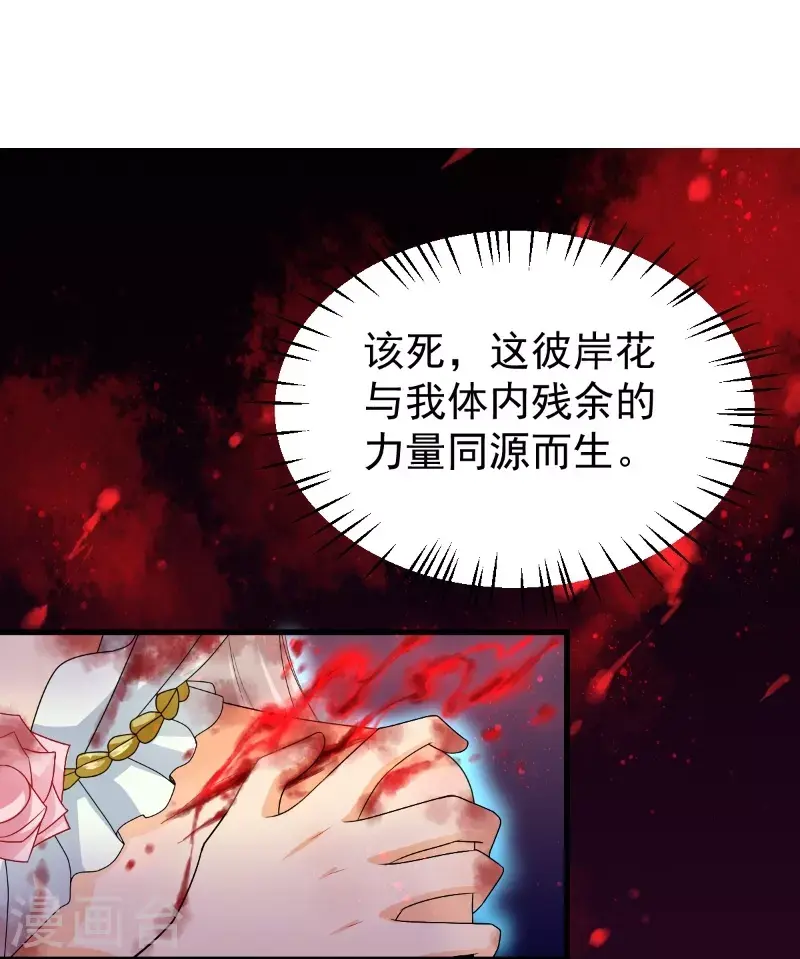 第15话 天命契约6