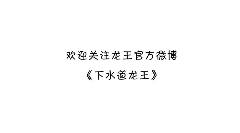 家里的傻龙9