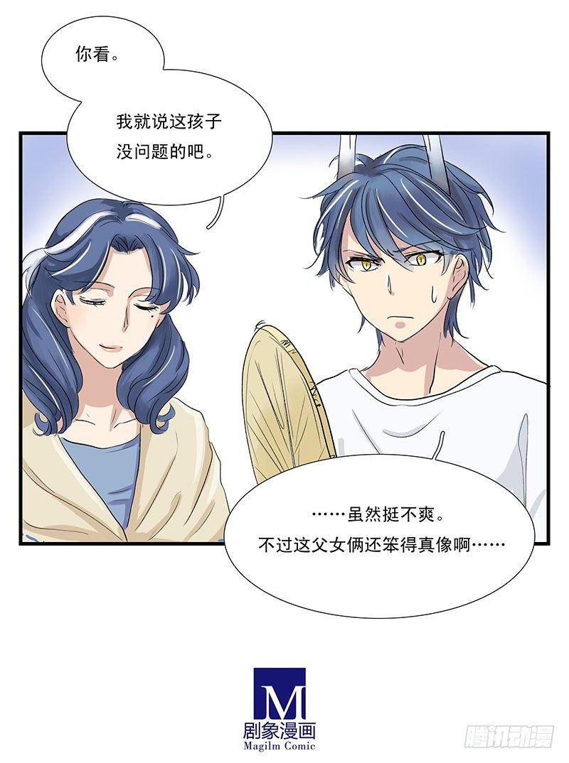 家里的傻龙8