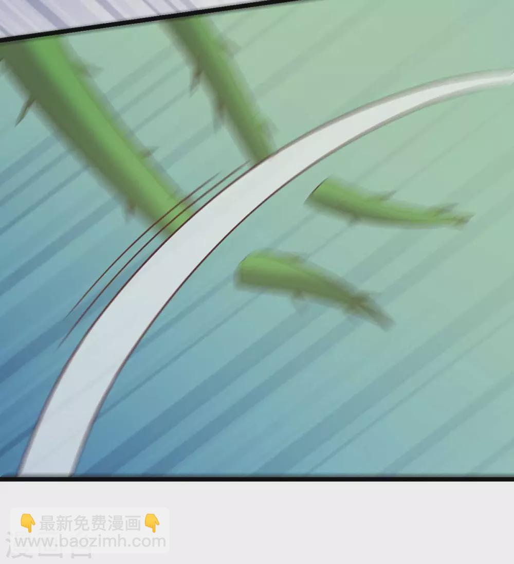 第31话 护体之莲4