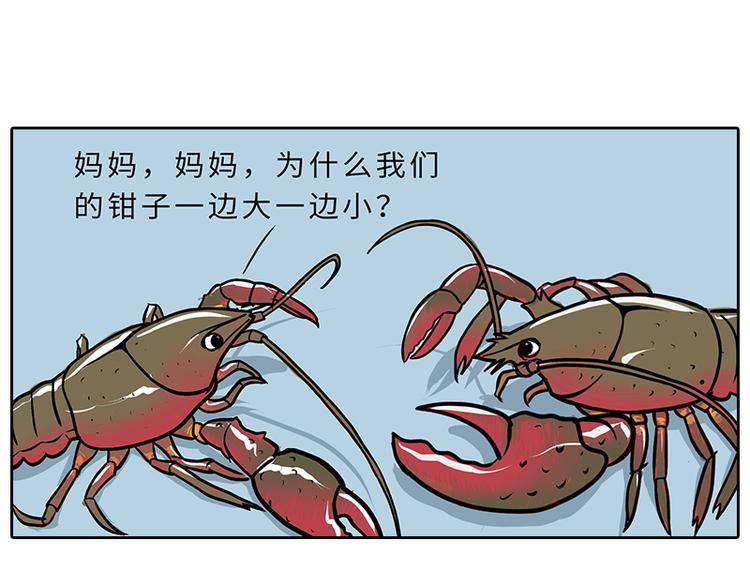 小龙虾（1）3