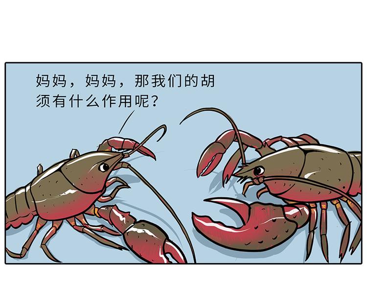 小龙虾（1）9