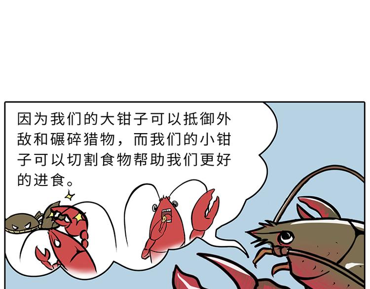 小龙虾（1）4