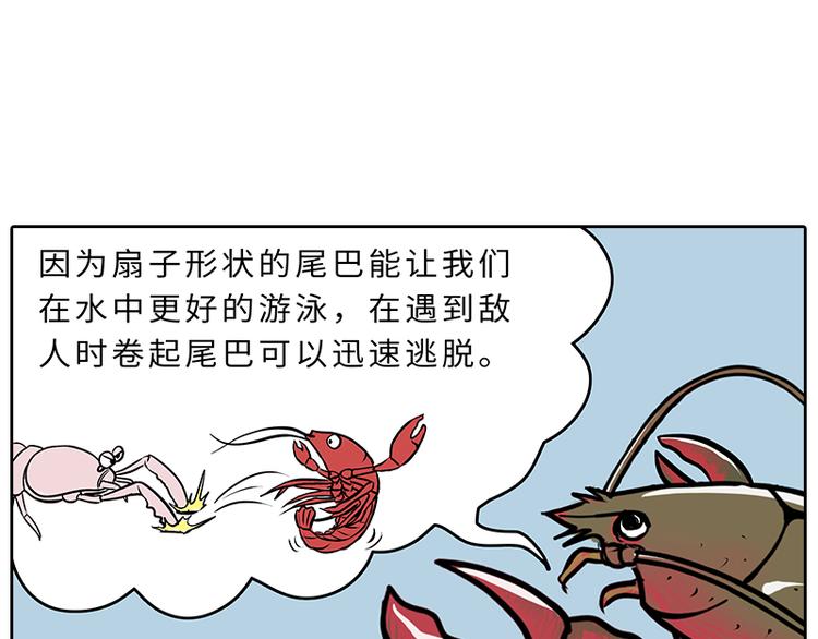 小龙虾（1）7