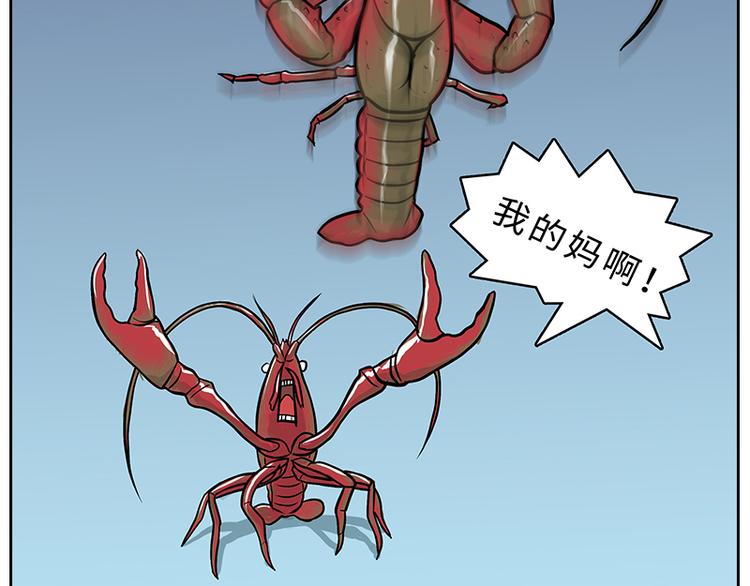 小龙虾（1）13