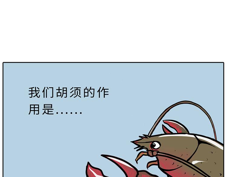小龙虾（1）10