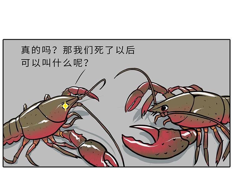 小龙虾（1）18