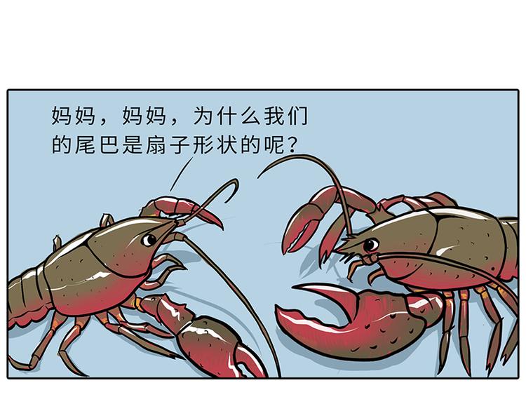 小龙虾（1）6