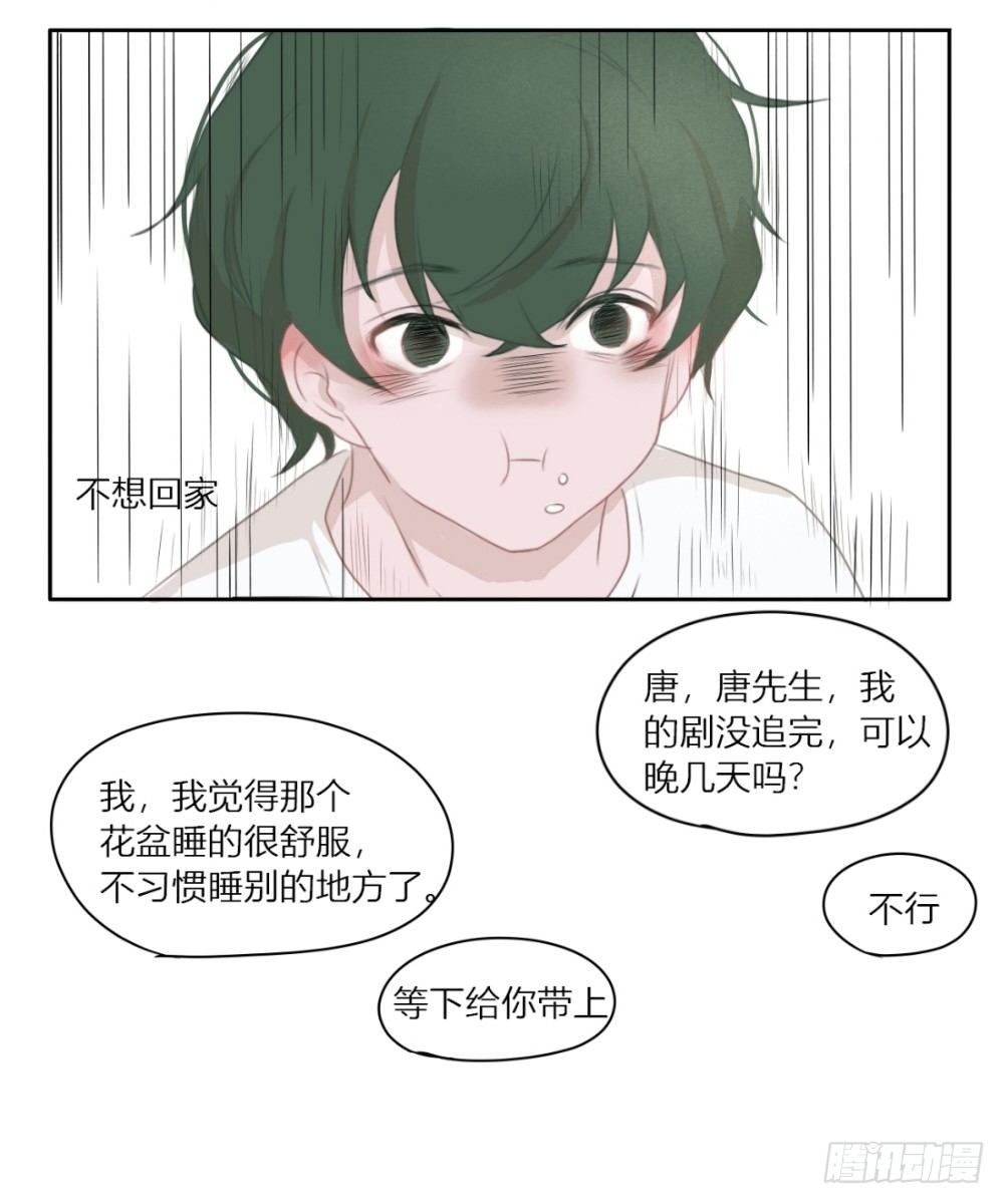 不想回家了3
