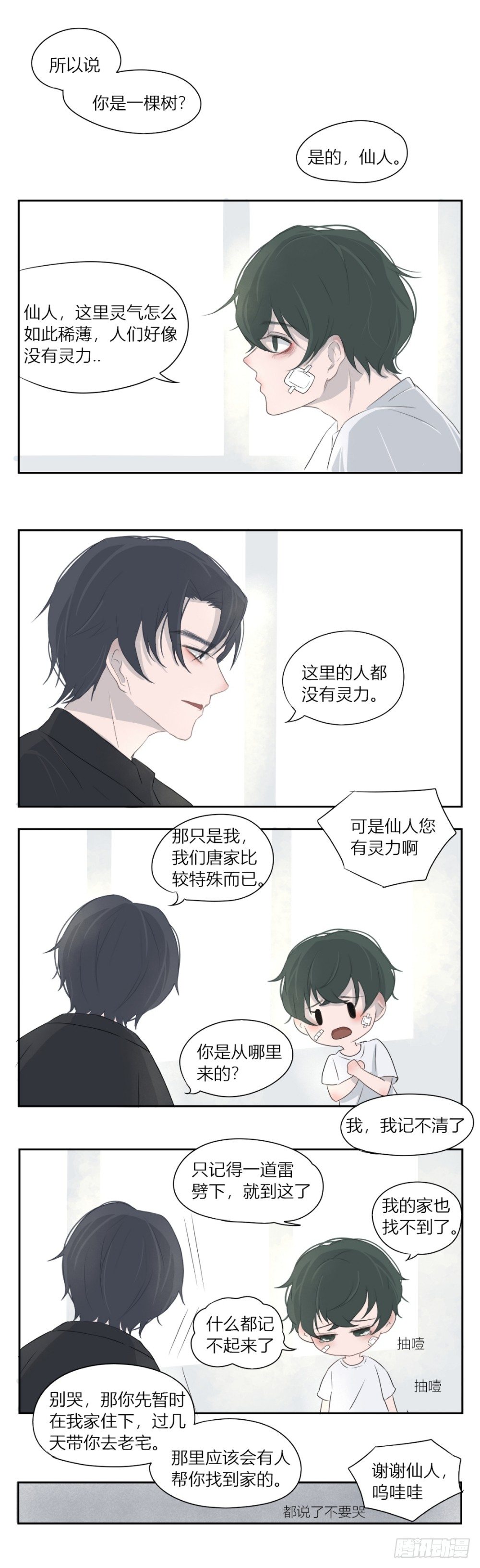 一个树精0