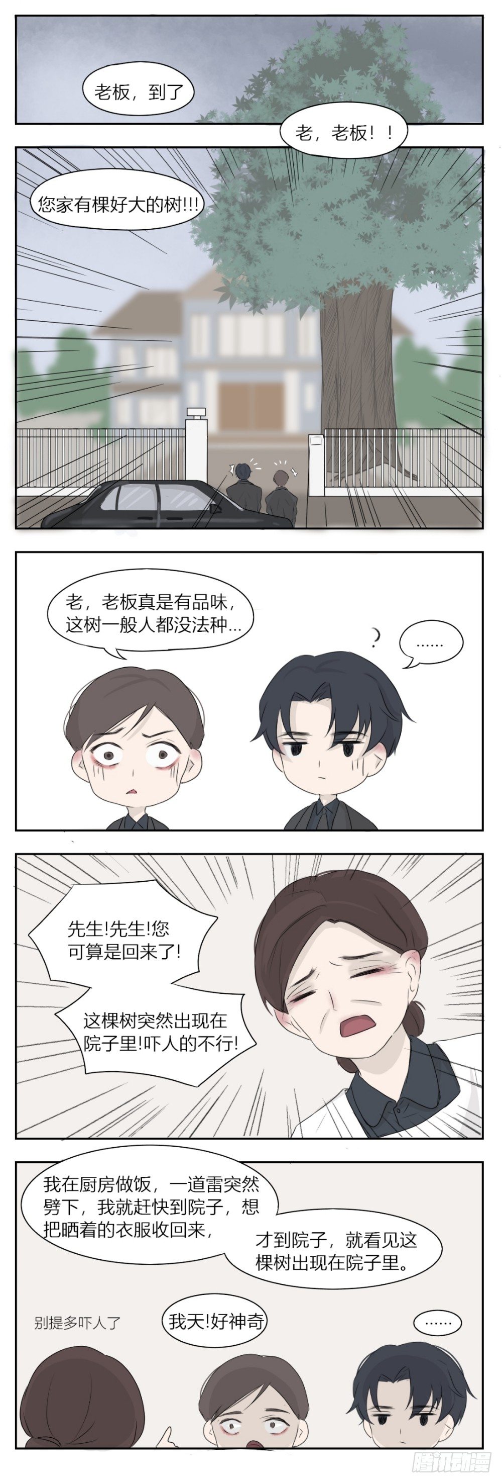 好大一棵树1