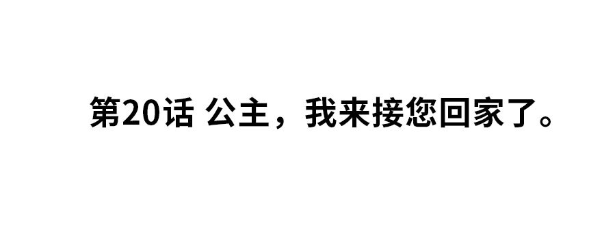 公主，我来接您回家了1