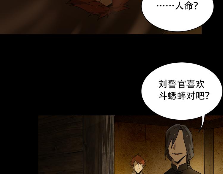 第6话  看破12