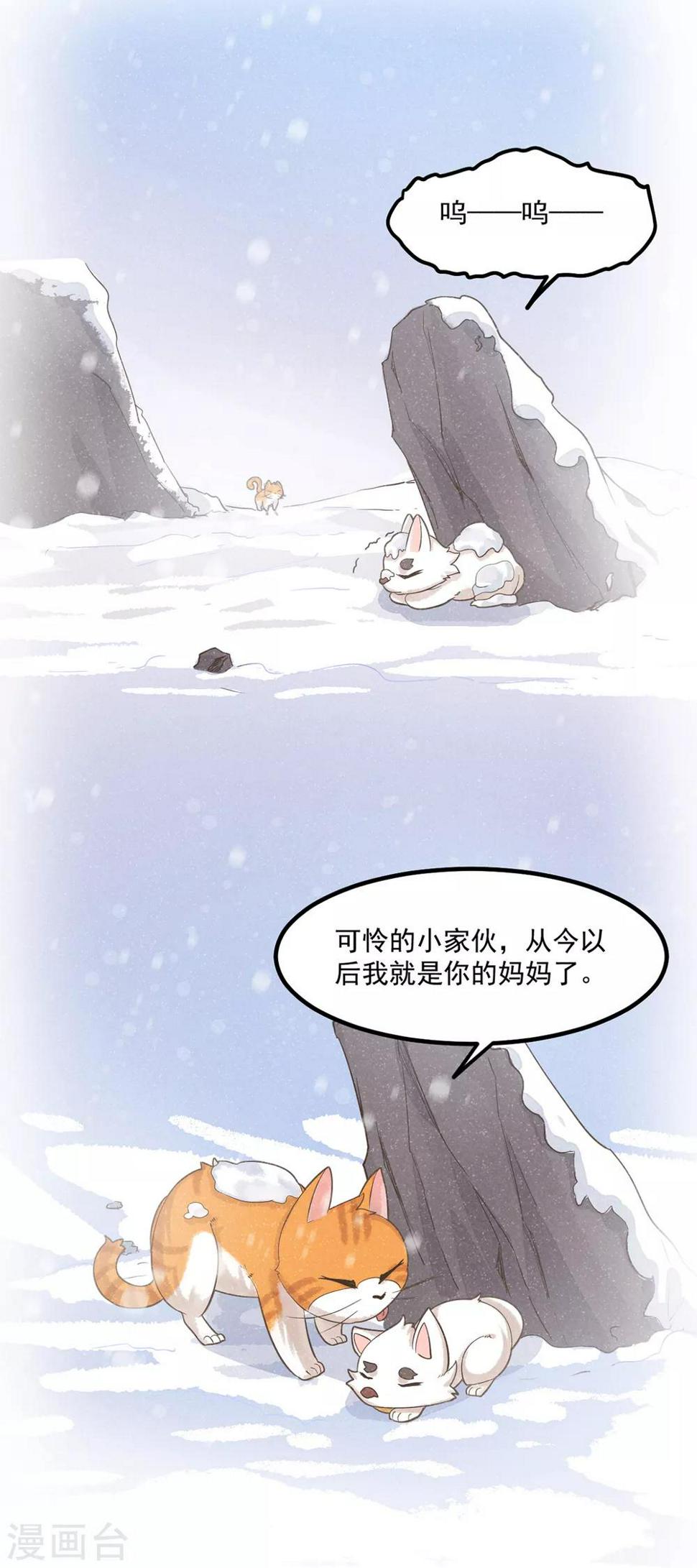 番外1 夭寿！一只狗怎么能妄想变成猫？6