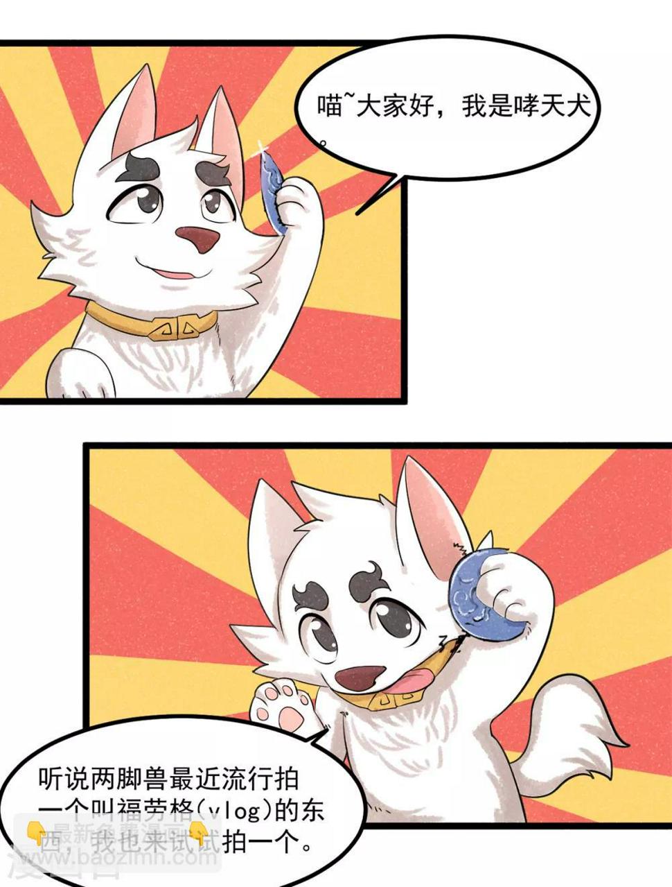 番外1 夭寿！一只狗怎么能妄想变成猫？4