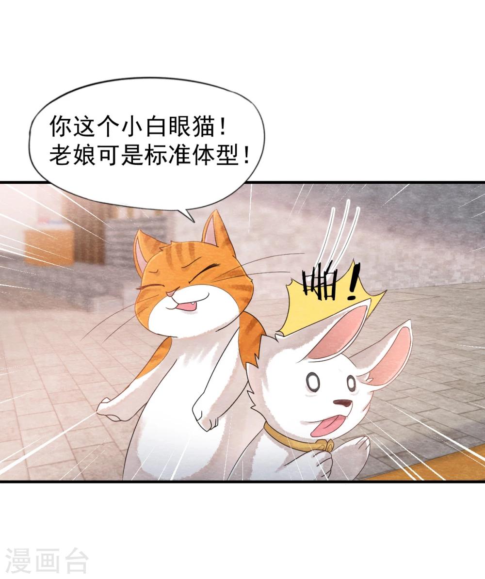 第1话 这个仙人怕不是傻的吧？！14