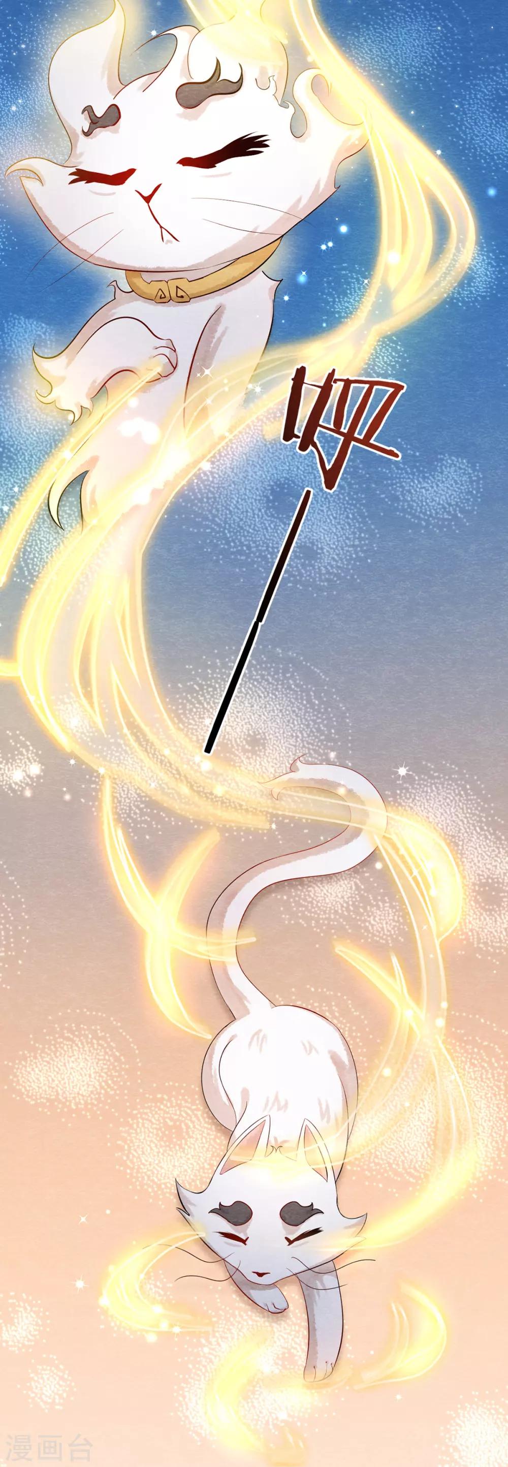 第3话 变变变！我是猫啦~8