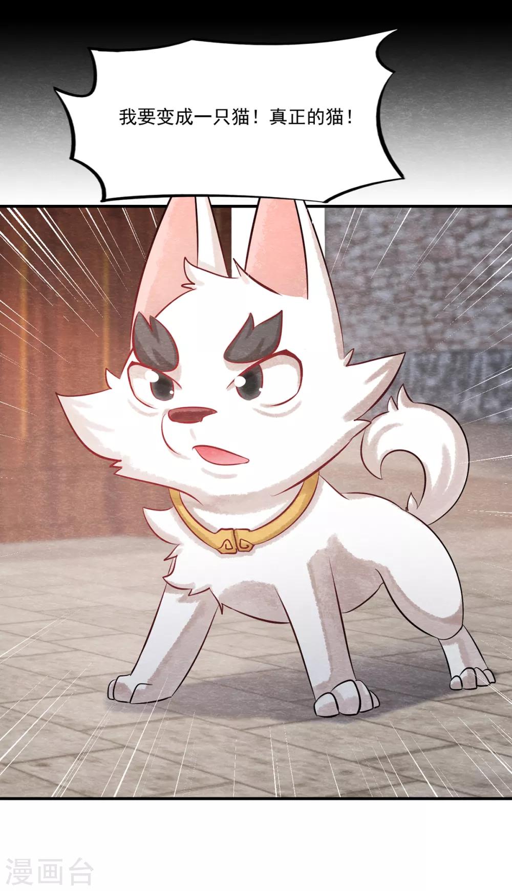 第2话 我要变成一只猫！21