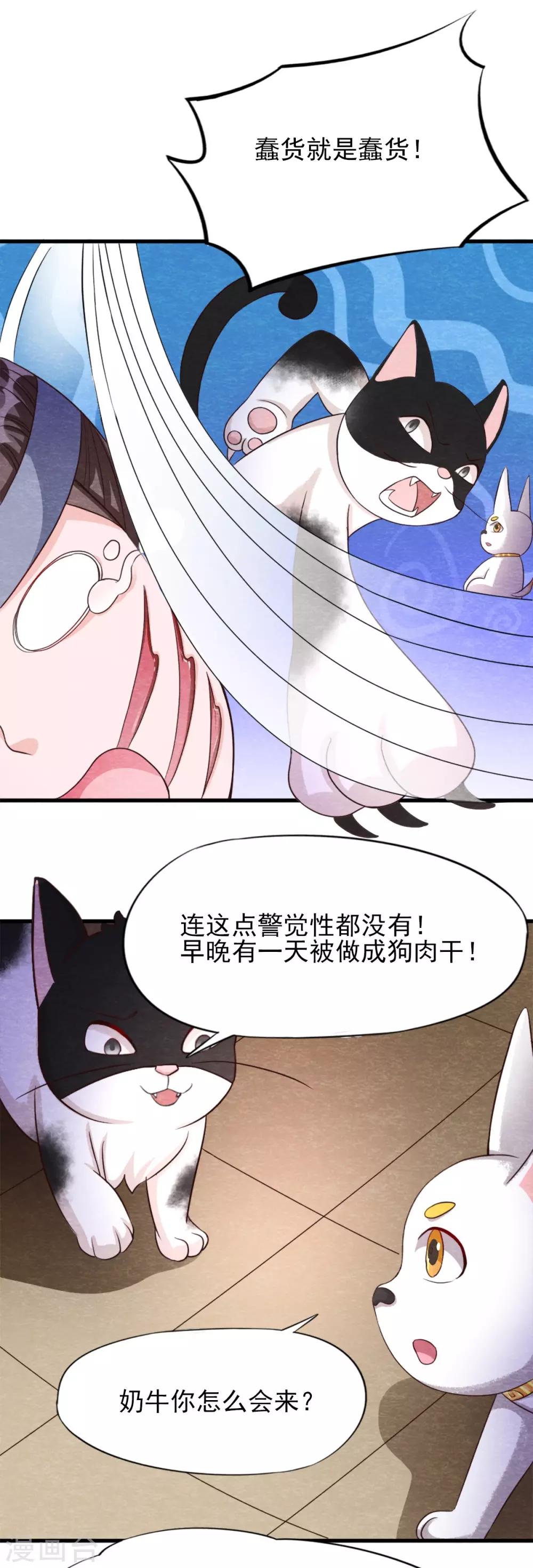 第15话 抢亲13