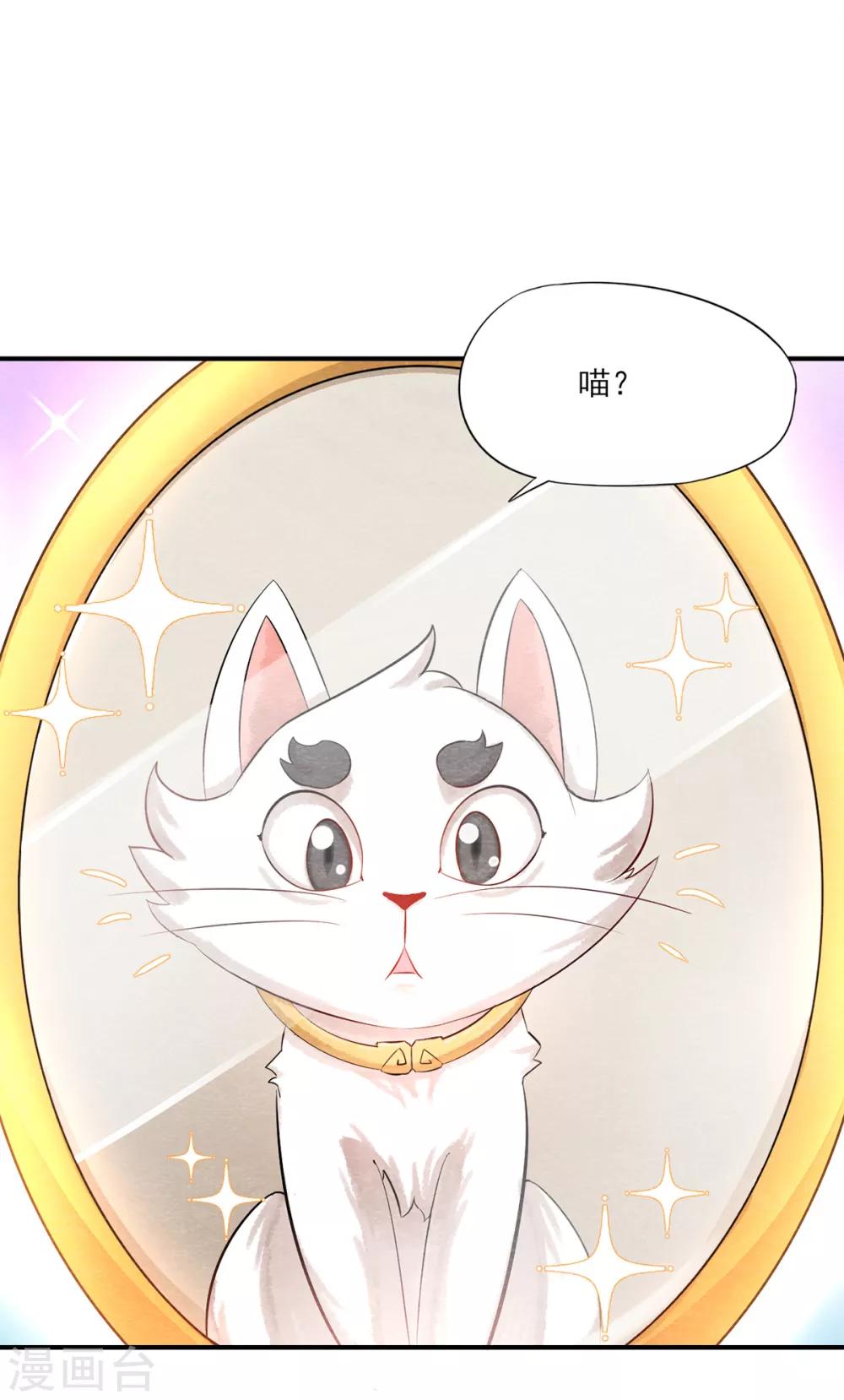 第3话 变变变！我是猫啦~11