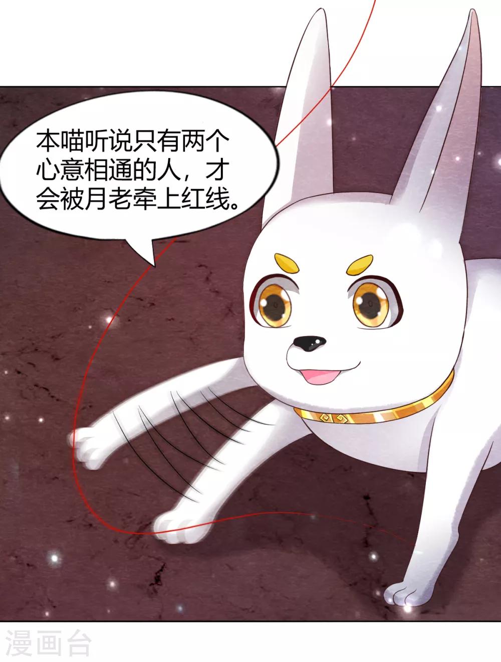 第19话 谁说有红线就是一对5